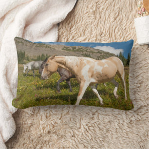 Coussin Rectangle Chevaux et mulets