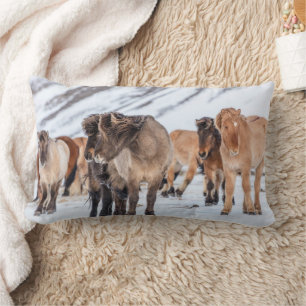 Coussin Rectangle Chevaux islandais dans les pâturages d'hiver près 