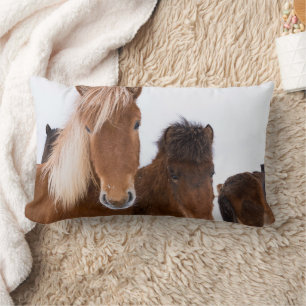 Coussin Rectangle Chevaux Islandais mignons ensemble