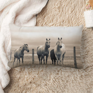 Coussin Rectangle Chevaux Quarter sur la prairie canadienne