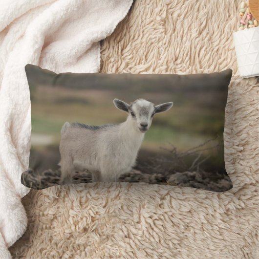 Coussin Rectangle Chèvre adorable d'enfant (Couverture)