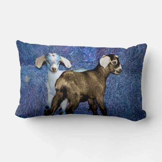 Coussin Rectangle Chèvres (Verso)