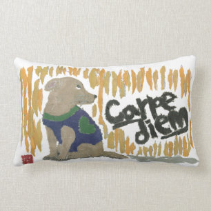 Coussin Rectangle Chien, Carpe Diem, expression latine