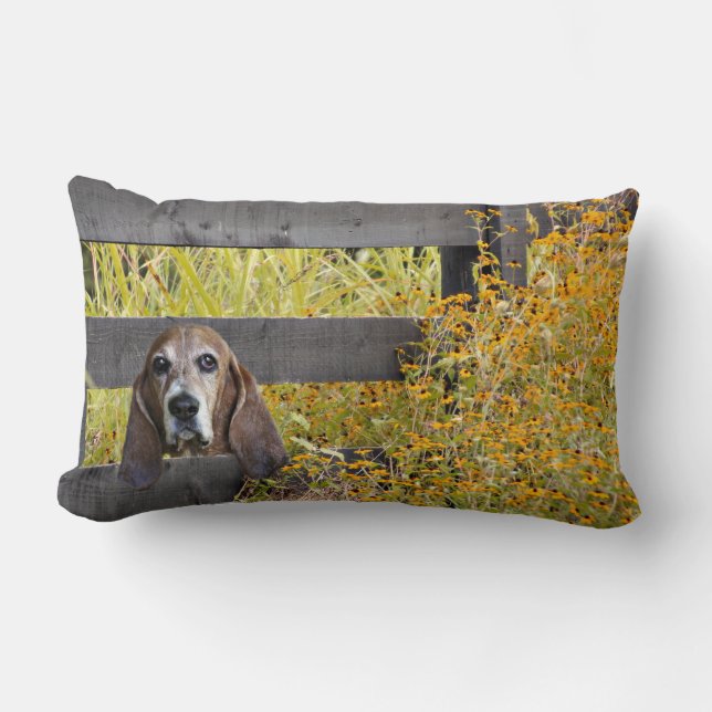 Coussin Rectangle Chien de basset (Recto)