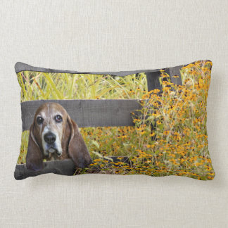 Coussin Rectangle Chien de basset