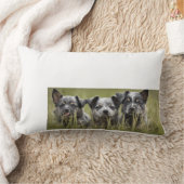 Coussin Rectangle Chien de bétail australien chiot Blue Heeler Thail (Couverture)
