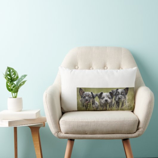 Coussin Rectangle Chien de bétail australien chiot Blue Heeler Thail (Chaise)