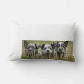 Coussin Rectangle Chien de bétail australien chiot Blue Heeler Thail (Recto)