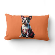 Chien de Boston Terrier