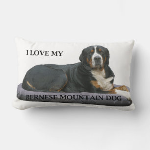 Coussin Rectangle chien de montagne bernois rouille allongé amour w