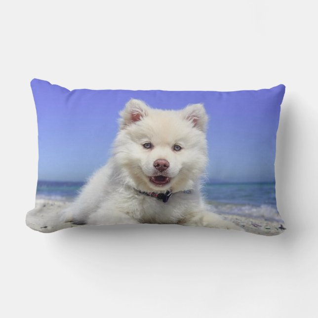 Coussin Rectangle Chien Samoyède Beau (Recto)