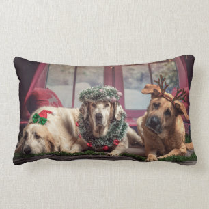 Coussin Rectangle Chiens de photos amusants dans les Antlers de Noë