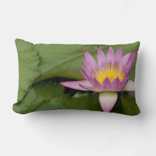 Coussin Rectangle Chine, Hong Kong, Nouveaux Territoires. Chi Lin