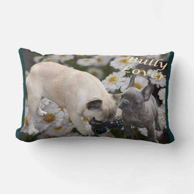 Coussin Rectangle Chiot Bouledogue Français (Recto)