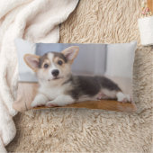 Coussin Rectangle Chiot de corgi de Gallois de Pembroke (Couverture)