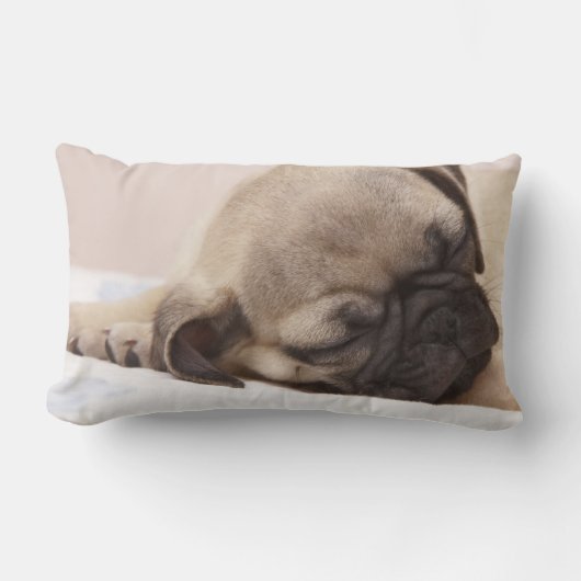 Coussin Rectangle Chiot dormant solidement (Recto)