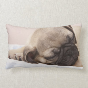 Coussin Rectangle Chiot dormant solidement