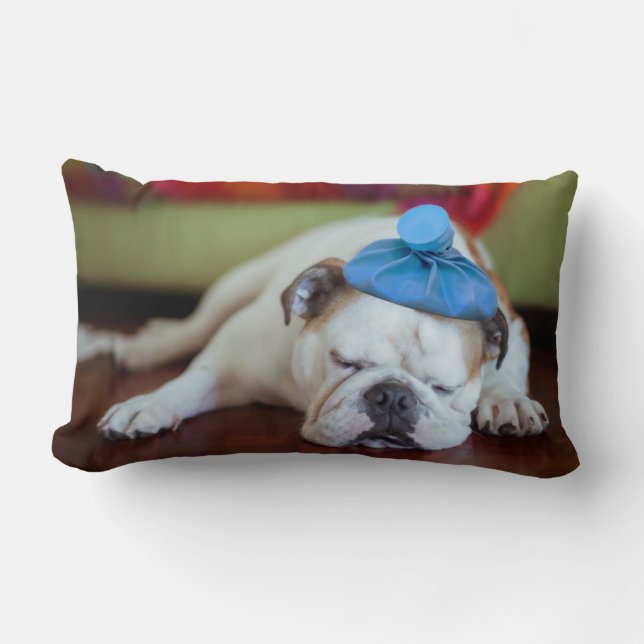 Coussin Rectangle Chiot malade des images | de Getty jeune (Recto)
