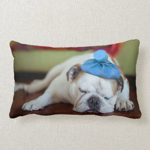 Coussin Rectangle Chiot malade des images   de Getty jeune