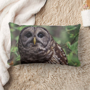 Coussin Rectangle Chouette barrée