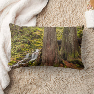 Coussin Rectangle Chute de White Branch, Cascades de l'Oregon, Orego