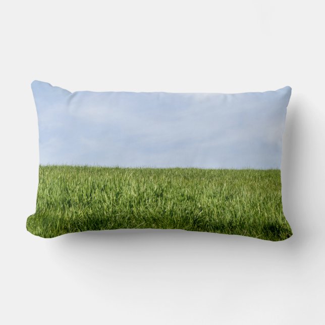 Coussin Rectangle Ciel Bleu Et Herbe Verte (Recto)