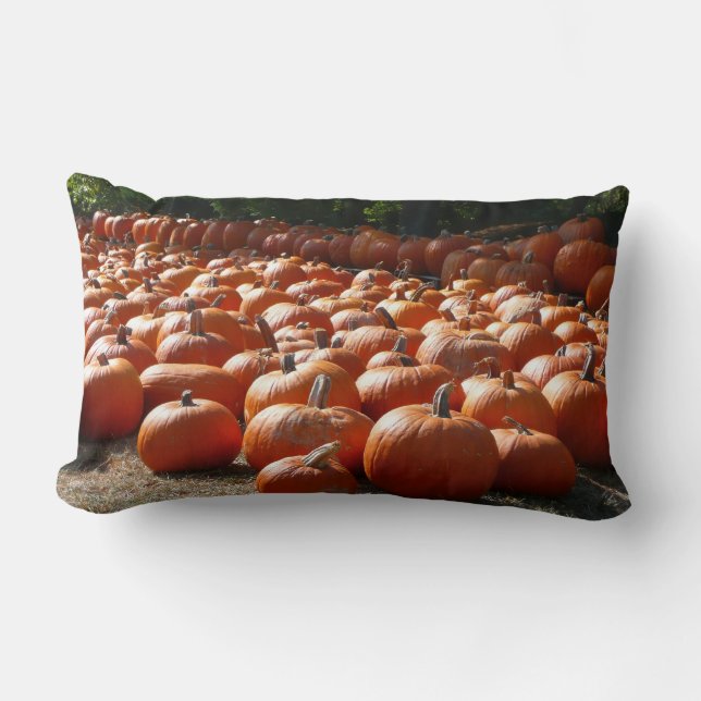 Coussin Rectangle Citrouille Patch Automne Harvest Photographie (Recto)
