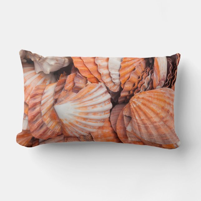 Coussin Rectangle Clés de Floride, Key West, coquillages (Recto)