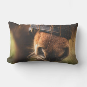 Coussin Rectangle Closeudo d'un mignon cheval Brown nez