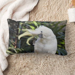 Coussin Rectangle Cockatoo Convivial Au Sulfure Et À La Poitrine Bon