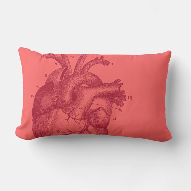 Coussin Rectangle Coeur vintage - anatomie (Recto)