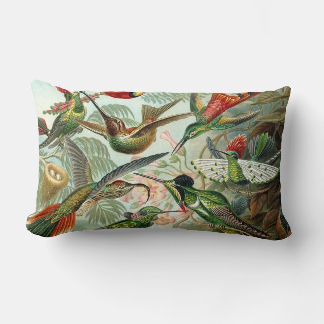 Coussin Rectangle Colibri (Recto)
