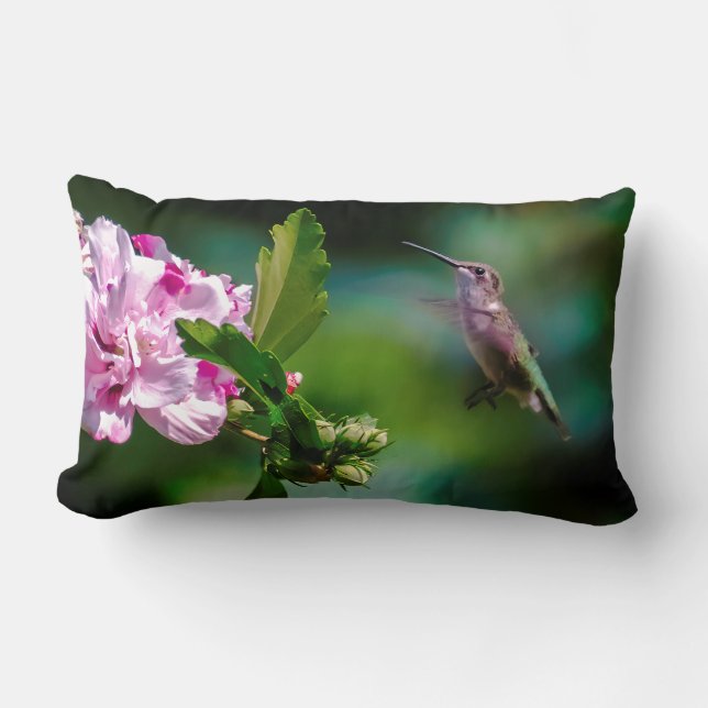 Coussin Rectangle Colibri à gorge rubis - Photographie originale (Recto)