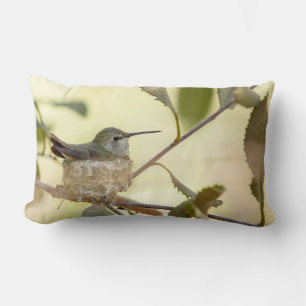 Coussin Rectangle Colibri femelle sur son nid