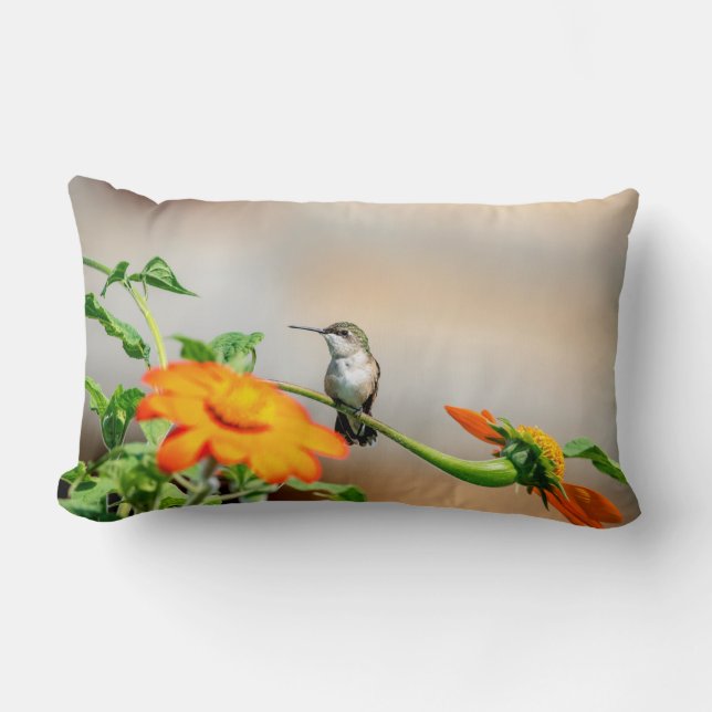 Coussin Rectangle Colibri sur un plante à fleurs (Recto)