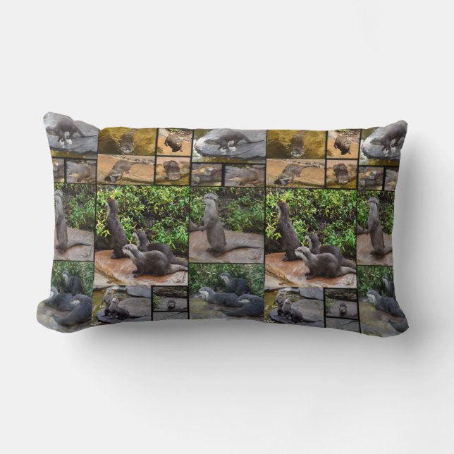 Coussin Rectangle Collage Photo Otter, Lumbar Cushion. (Recto)
