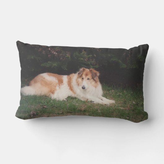 Coussin Rectangle Colley de Casey (Verso)