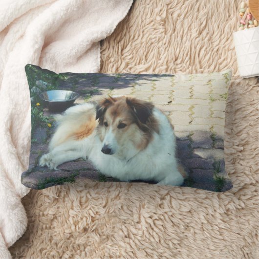 Coussin Rectangle Colley de Casey (Couverture)