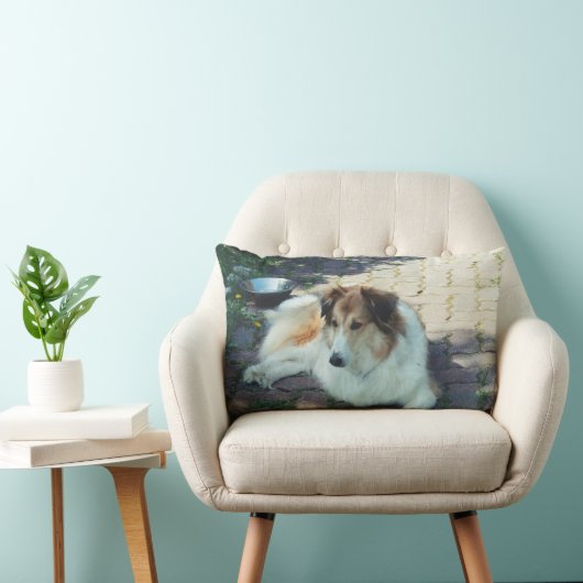 Coussin Rectangle Colley de Casey (Chaise)