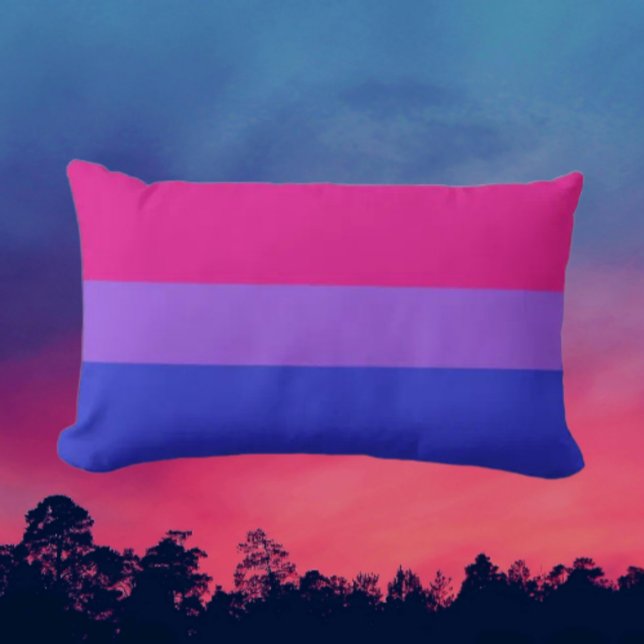 Coussin Rectangle Confort Lombaire Fierté Bi (Créateur téléchargé)