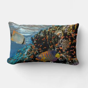 Coussin Rectangle Corail Reef avec feu Corail et poissons exotiques