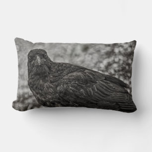 Coussin Rectangle Corbeau P9239