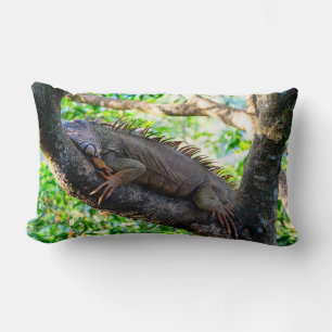 Coussin Rectangle Costa Rica, Muelle - Lazy Iguana reposant dans un