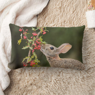 Coussin Rectangle Cottontail Est Sud du Texas