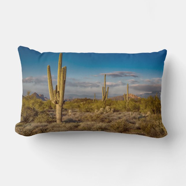 Coussin Rectangle Coucher du soleil de cactus en Arizona (Recto)