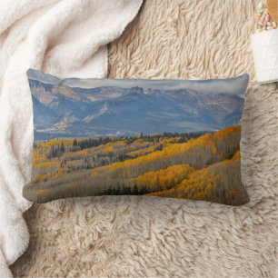 Coussin Rectangle Couleurs d'automne sur les bosquets de trembles