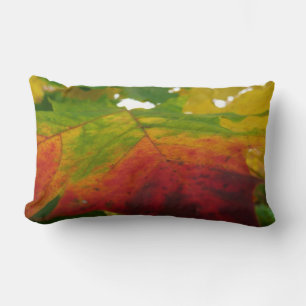 Coussin Rectangle Couleurs de la feuille d'érable Photographie de la