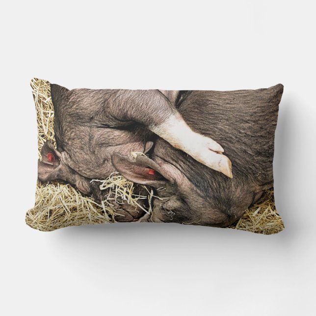 COUSSIN RECTANGLE COUPER LES COCHONS DE SOMMEIL (Recto)