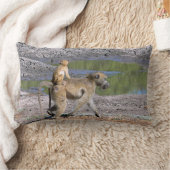 COUSSIN RECTANGLE COUSSIN, "BÉBÉ MONKEY À LA RETOUR DE MAMA MONKEY" (Couverture)