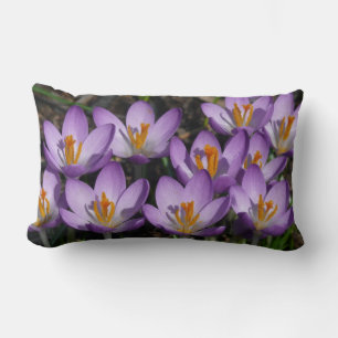 Coussin Rectangle Crocus violets ensoleillés